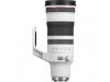 Canon Lens RF 100-300mm f2.8L IS USM